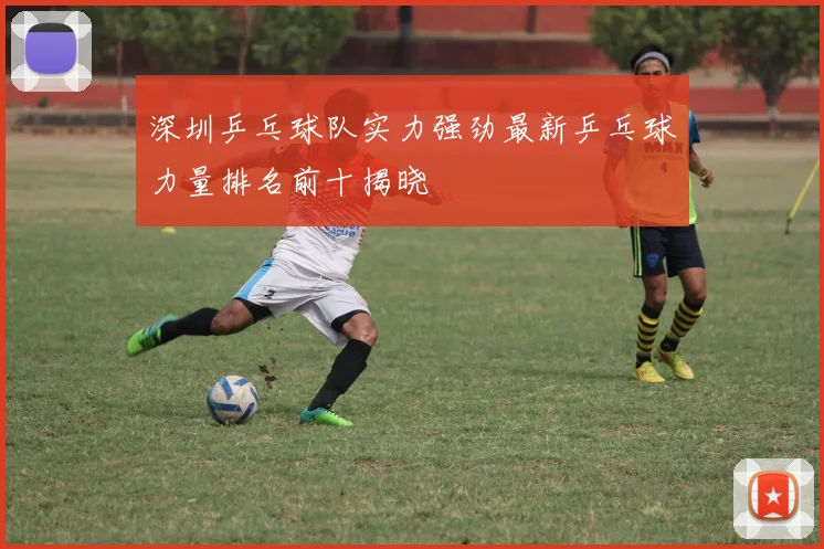 深圳乒乓球队实力强劲最新乒乓球力量排名前十揭晓