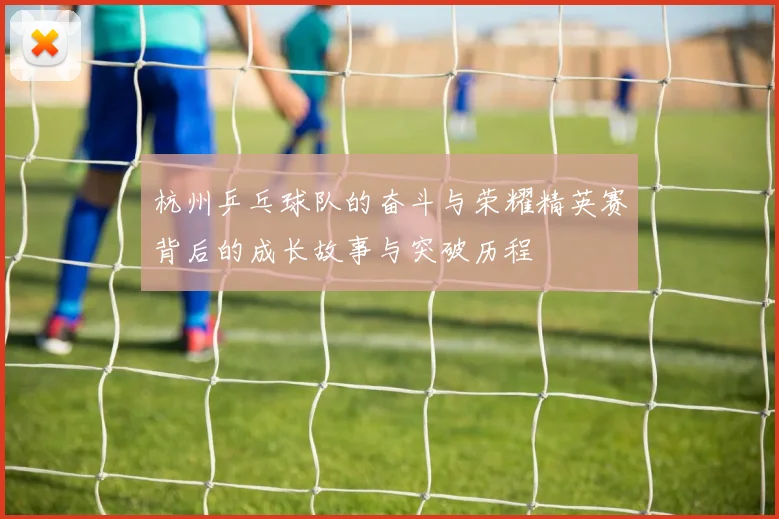 杭州乒乓球队的奋斗与荣耀精英赛背后的成长故事与突破历程