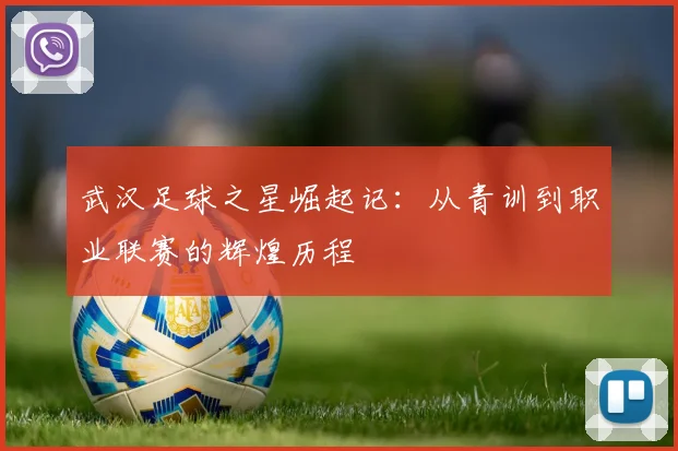 武汉足球之星崛起记：从青训到职业联赛的辉煌历程