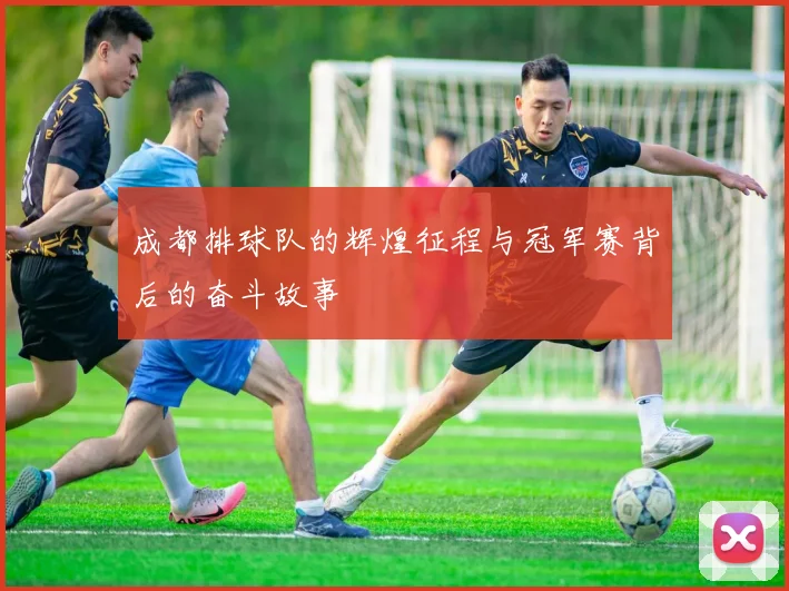 成都排球队的辉煌征程与冠军赛背后的奋斗故事