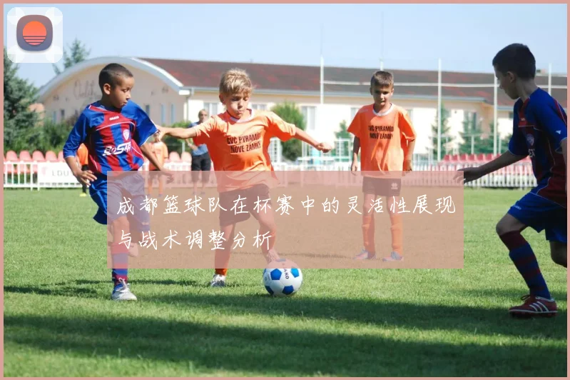 成都篮球队在杯赛中的灵活性展现与战术调整分析